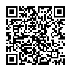 在读条结束的前一刻一个夜明玩家倒地下一刻就立即被复活二维码生成