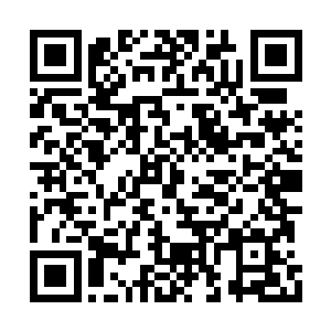 在贝海看来就是两只小乌龟罢了有什么了不起的二维码生成