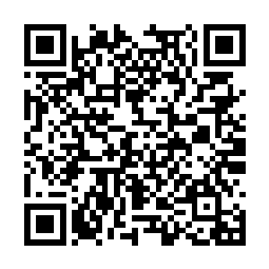 在赛雷头脑正构思将用于圣者的圣甲没有出现之前二维码生成
