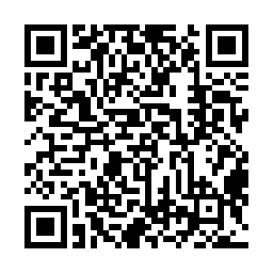 在路边密林外能停放十来辆车的停车场看见几辆旅游大巴二维码生成