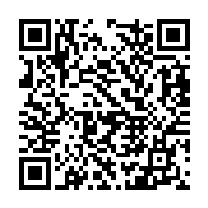 在路过下一座城市的时候传书让官员前去处理尸骸二维码生成