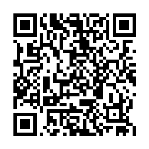 在身体机能全部退化之前一定会找到救治方法的二维码生成