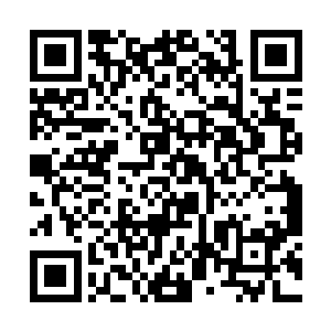 在轰然而起的尘埃中拚命地挥舞着僵硬而死板的手臂二维码生成