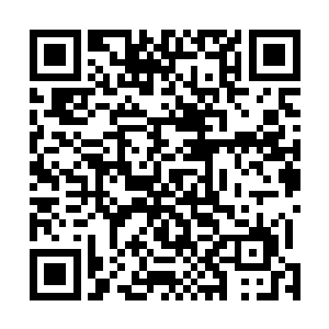 在辰州符咒学院能够召唤蓝色符球的人差不多有一百人呢二维码生成