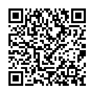 在过一段时间杨晨准备给这些灵虫种下神念再说二维码生成