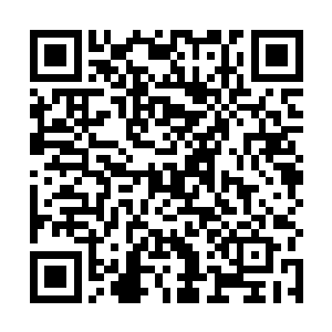 在还没有充分的熟悉与这些地狱黑蜘蛛的搏斗经验之前二维码生成