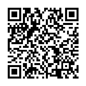 在还没有商讨出究竟同不同意北堂国求和一事的结果前二维码生成