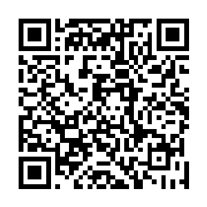 在这一刻却是变成了和状元村一般让人毛骨悚然的血棺材二维码生成