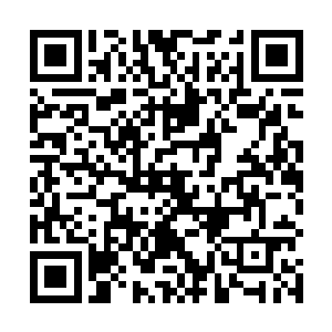 在这一刻却是变的圆润了……完全是被耳光给抽肿了啊二维码生成