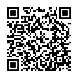 在这一年中许紫烟就像一个旁观者行走在东方修仙界二维码生成