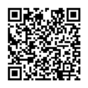 在这一次的龙凤榜中可能是女性第一人的呼声很高二维码生成