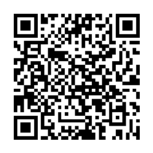 在这个世界上应该没有人能够在天道的理解上超过她二维码生成