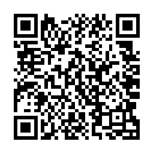 在这个世界上永远都不缺少白日做梦和想要不劳而获的人二维码生成