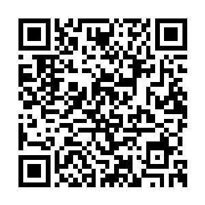在这个之前他释放出来的天冠威能只是普通威能二维码生成