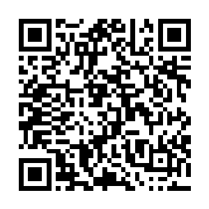 在这个刹那回忆起了在挽风界主那里看到的那个死去的人二维码生成