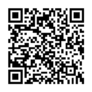 在这个县城中敢直接叫张富贵本名的人只有两个二维码生成