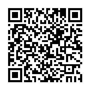 在这个宇宙里……远吕智军的实力全都强得逆天啊……二维码生成