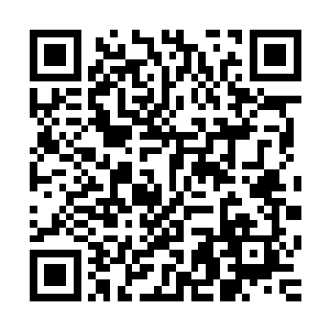 在这个小东西和龙战凌菲的帮助下他们逃过了昨天晚上的危机二维码生成