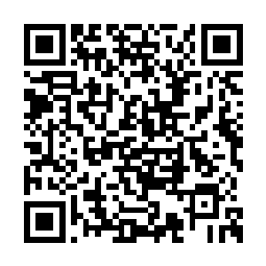 在这个幼发拉底河岸边平坦的十万人口小城市里二维码生成