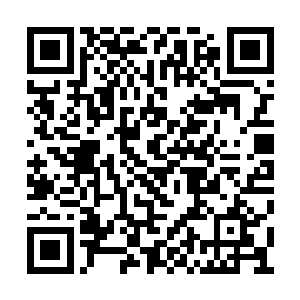 在这个时节竟是罕见地同时又七八部电影在放映二维码生成