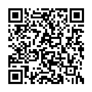 在这个社会上拥有着远高于普通人的能力和特权二维码生成