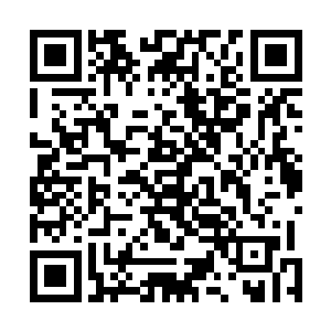 在这个级别的强者眼中依然是弱的和蝼蚁没有任何的差别二维码生成