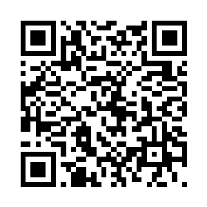 在这个美艳的男修打量着小宝的时候二维码生成