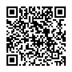 在这个过程中我隐隐约约的可以听到人类痛苦的喊叫声二维码生成