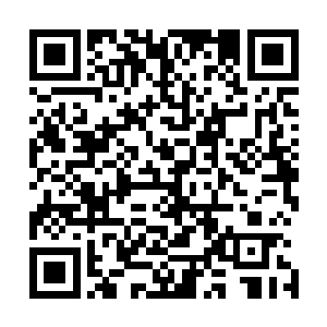 在这个领域里面的所有东西一举一动达雅琪都是能感知到的二维码生成