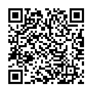 在这么多人面前亲口承认下来便已经坐死了新圣主的身份二维码生成