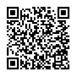 在这么多传说中的天才少年少女们的目光注视下二维码生成