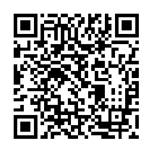 在这么大的方山当中想要找到打火机一样大小的金蚕二维码生成