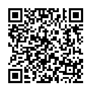 在这之前姑且先让华国的这架先进飞行器张狂吧二维码生成