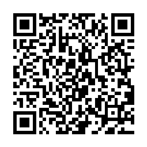 在这些妖兽异形体内金属性力量源源不断的叠加之下二维码生成