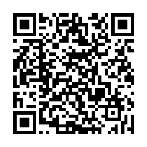 在这些已经完全发黑的心脏上狠狠的扎了一下又一下二维码生成