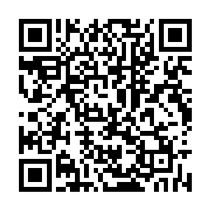 在这些树叶中有一半的数量在上面已经多出了一个二维码生成
