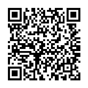 在这些水蛭还没来得及将自己吞噬的力量用来提升自己二维码生成