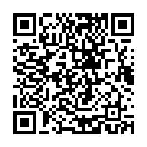 在这些绿色的光线之下这个地方看起来格外的诡异二维码生成
