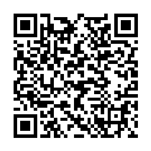 在这众多强者大战时爆发出的一可怕能量余波之下二维码生成