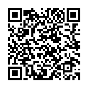 在这伙年轻人眼中叶秋的偶像效应要比什么什么轮更加的强大二维码生成
