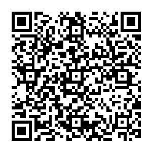 在这位看来贝海就只动了一筷子而且一直是若用所思心神不宁的那就是被自己震到了的明证二维码生成