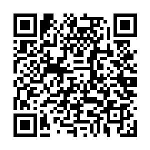 在这佛门功法的修为上也远不如眼前这个白衣僧人二维码生成