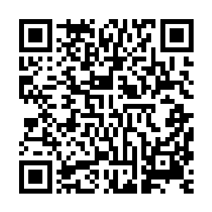 在这关键时刻陆地方面竟然会突然出现一群天位级别的变异生物二维码生成