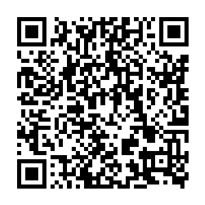 在这只精神力之手在搬运着那地元素山峰之中的地元素晶体的时候二维码生成