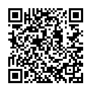 在这只铁皮蝾螈在黑暗之中摸索了将近一个小时之后二维码生成