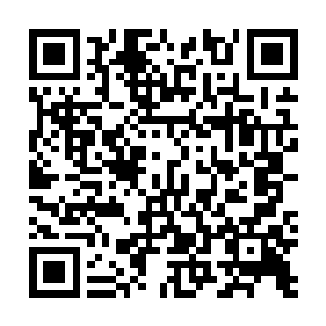 在这场几乎决定了整个族群存续问题的战役的最关键时刻二维码生成