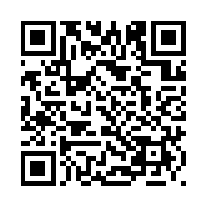 在这山脉之中进行了地毯式的搜索二维码生成