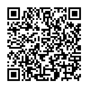 在这座城内可以只手遮天的老者看了眼那个多半是覆以面皮的年轻人二维码生成