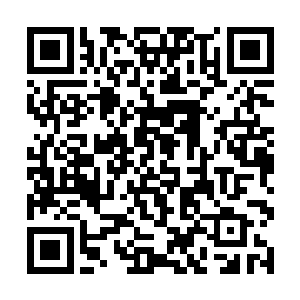 在这座普普通通的二线城市的普普通通的二流院校里二维码生成