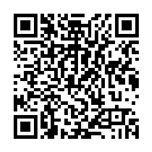 在这样严肃的场合谈吃饭不吃饭的问题实在是有些不太合适二维码生成